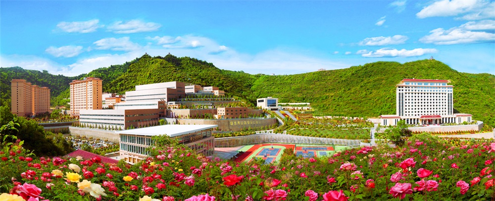 三季有花、四季常青的金徽股份.jpg