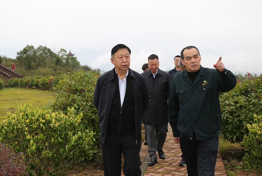 19-2021年10月，原國(guó)土資源部副部長(zhǎng)汪民蒞臨公司調(diào)研。.jpg