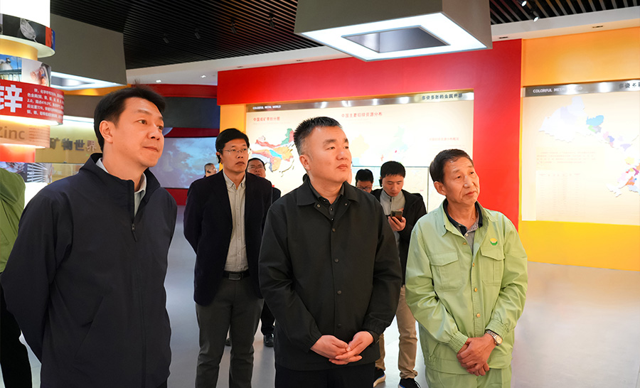 10.4-2024年04月，自然資源部礦保司副司長(zhǎng)王博蒞臨公司調(diào)研。.jpg