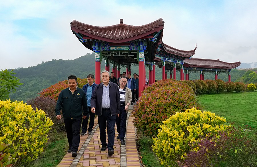 49-2022年5月，省工信廳副廳長(zhǎng)王海峰一行蒞臨金徽股份調(diào)研綠色礦山建設(shè)工作。.jpg