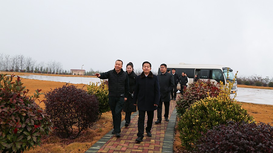 45-2020年12月，省高級(jí)人民法院黨組成員、副院長(zhǎng)任建國(guó)蒞臨金徽股份調(diào)研知識(shí)產(chǎn)權(quán)司法保護(hù)工作。.jpg